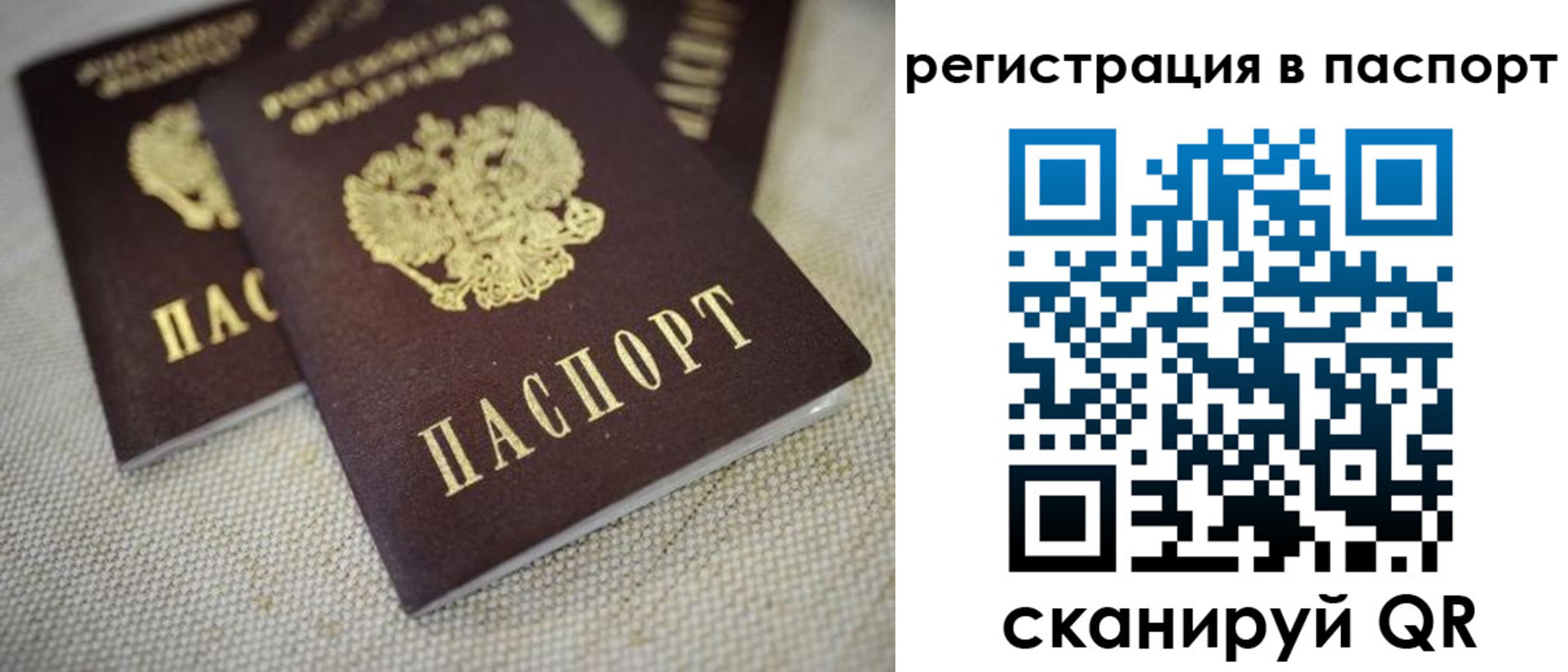 прописка гарантия в Ивановской области